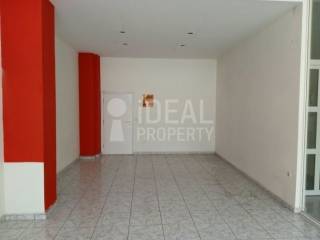 Ενιαίος χώρος