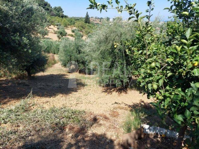 Άποψη Ακινήτου