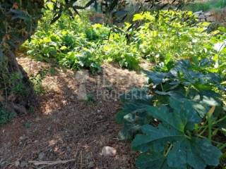 Άποψη Ακινήτου