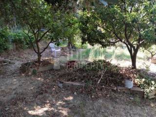 Άποψη Ακινήτου