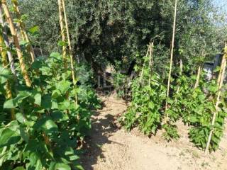 Άποψη Ακινήτου