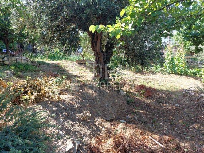 Άποψη Ακινήτου