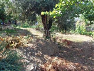 Άποψη Ακινήτου