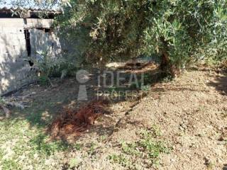 Άποψη Ακινήτου