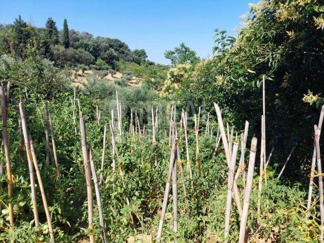 Άποψη Ακινήτου