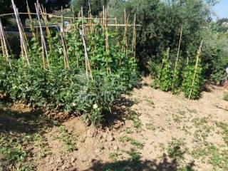 Άποψη Ακινήτου