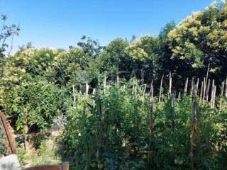 Άποψη Ακινήτου