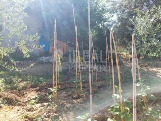 Άποψη Ακινήτου