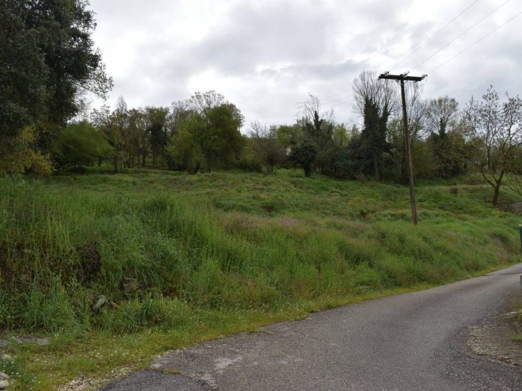 ΑΠΟΨΗ ΟΙΚΟΠΕΔΟΥ