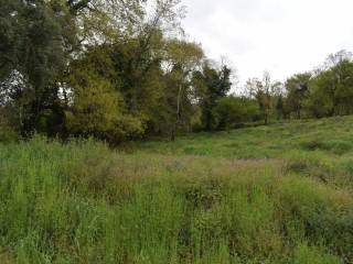 ΑΠΟΨΗ ΟΙΚΟΠΕΔΟΥ