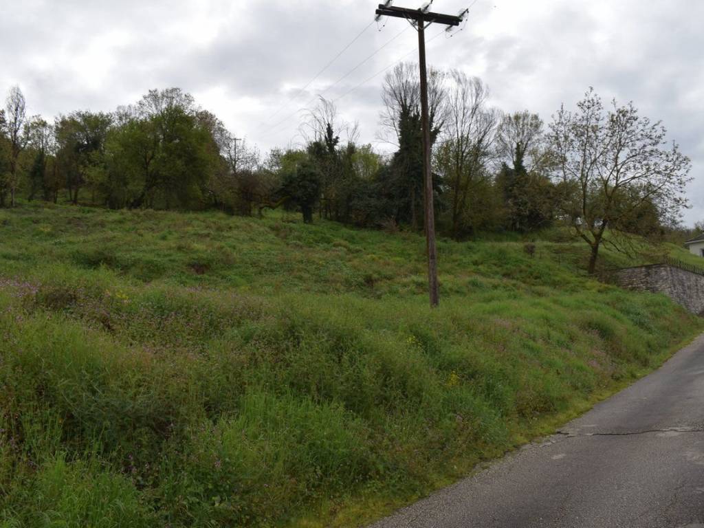 ΑΠΟΨΗ ΟΙΚΟΠΕΔΟΥ