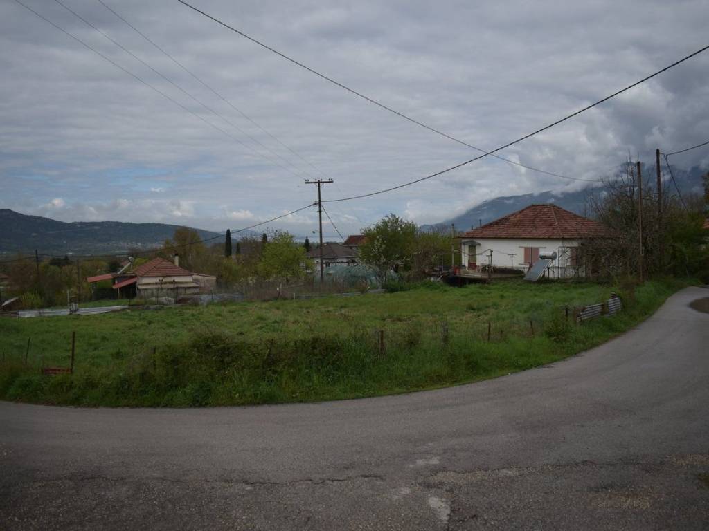 ΑΠΟΨΗ ΟΙΚΟΠΕΔΟΥ