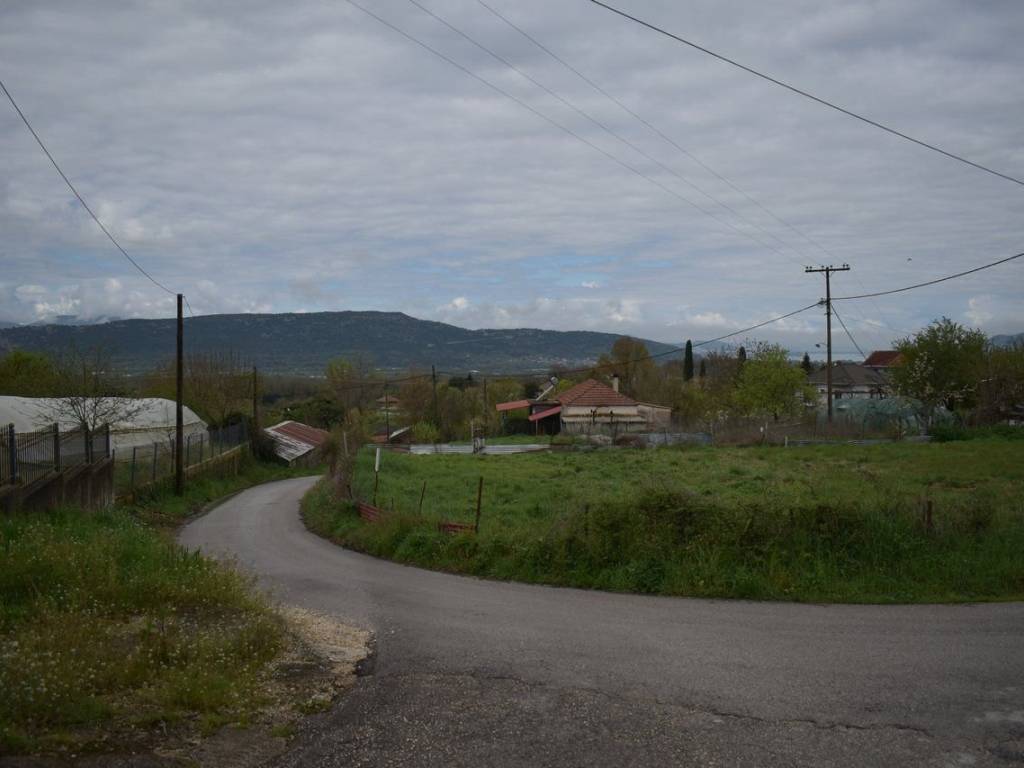 ΑΠΟΨΗ ΟΙΚΟΠΕΔΟΥ