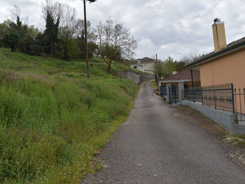 ΑΠΟΨΗ ΟΙΚΟΠΕΔΟΥ