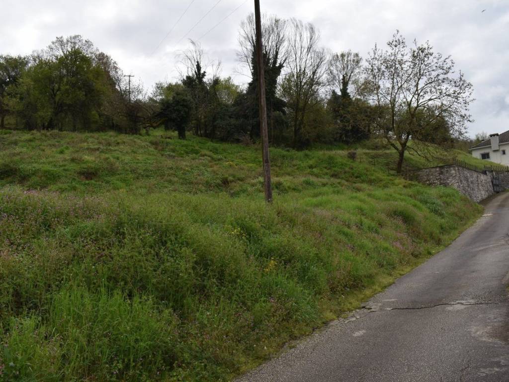 ΑΠΟΨΗ ΟΙΚΟΠΕΔΟΥ