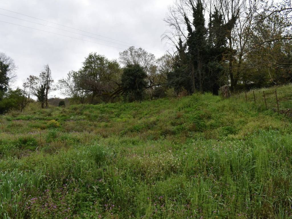 ΑΠΟΨΗ ΟΙΚΟΠΕΔΟΥ