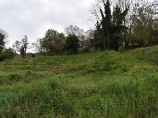 ΑΠΟΨΗ ΟΙΚΟΠΕΔΟΥ