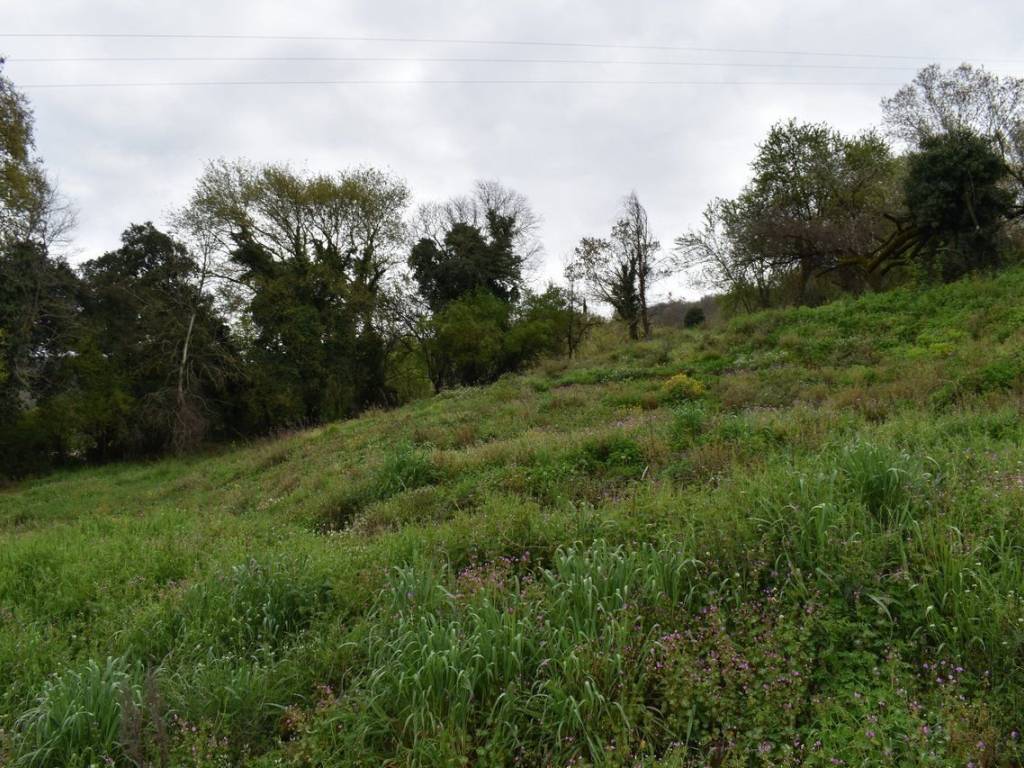 ΑΠΟΨΗ ΟΙΚΟΠΕΔΟΥ