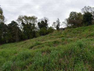 ΑΠΟΨΗ ΟΙΚΟΠΕΔΟΥ