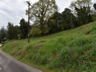 ΑΠΟΨΗ ΟΙΚΟΠΕΔΟΥ