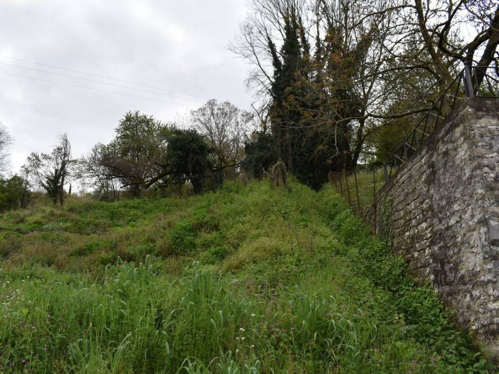 ΑΠΟΨΗ ΟΙΚΟΠΕΔΟΥ