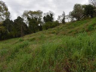 ΑΠΟΨΗ ΟΙΚΟΠΕΔΟΥ