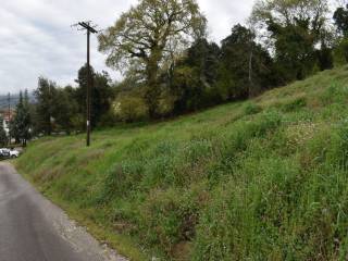 ΑΠΟΨΗ ΟΙΚΟΠΕΔΟΥ