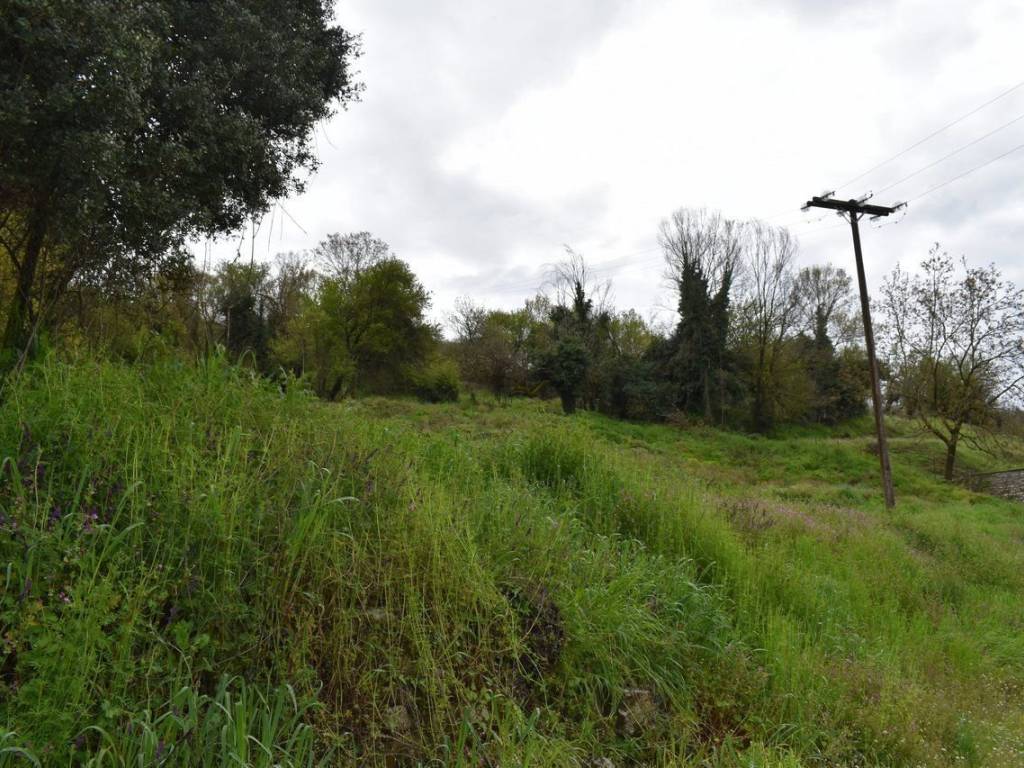 ΑΠΟΨΗ ΟΙΚΟΠΕΔΟΥ