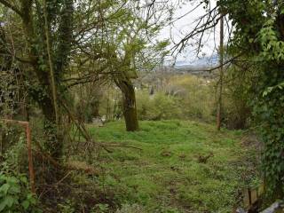 ΑΠΟΨΗ ΟΙΚΟΠΕΔΟΥ