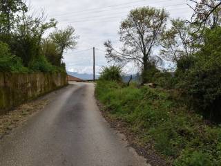 ΑΠΟΨΗ ΟΙΚΟΠΕΔΟΥ