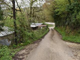 ΑΠΟΨΗ ΟΙΚΟΠΕΔΟΥ