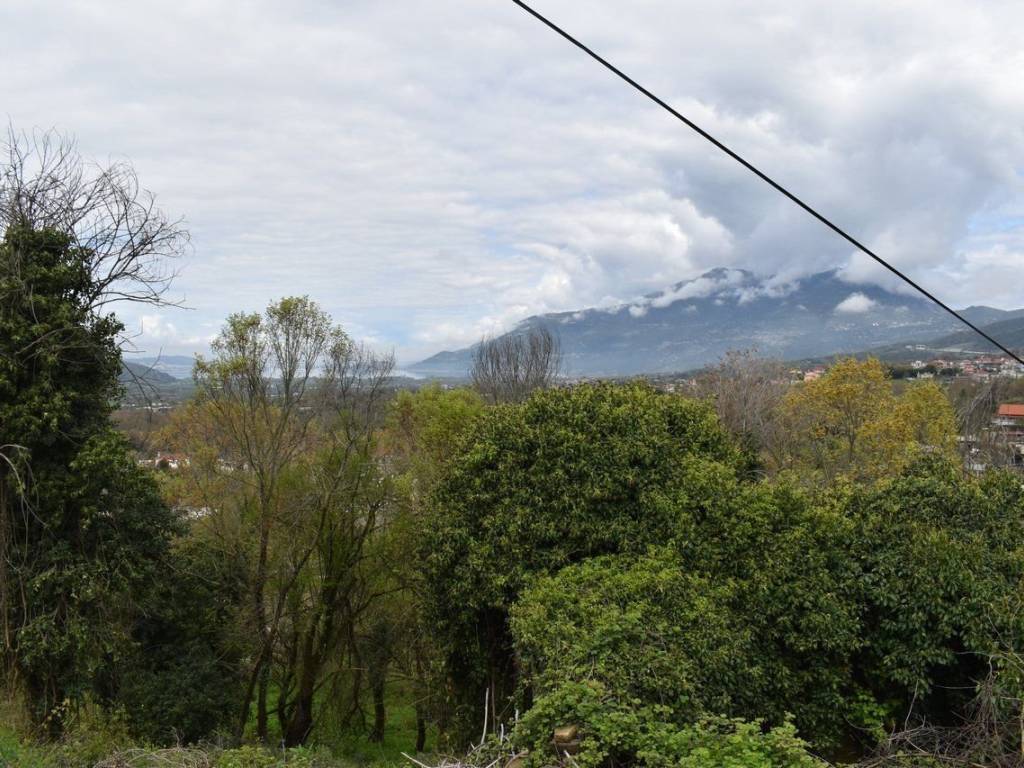 ΑΠΟΨΗ ΟΙΚΟΠΕΔΟΥ