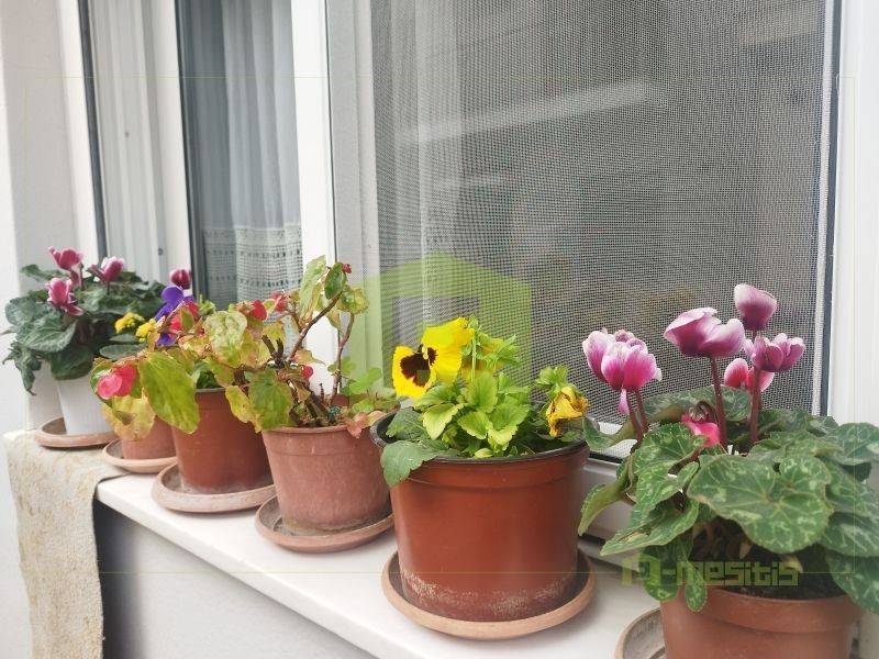 Ύπαρξη ανθρώπου