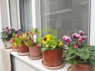 Ύπαρξη ανθρώπου