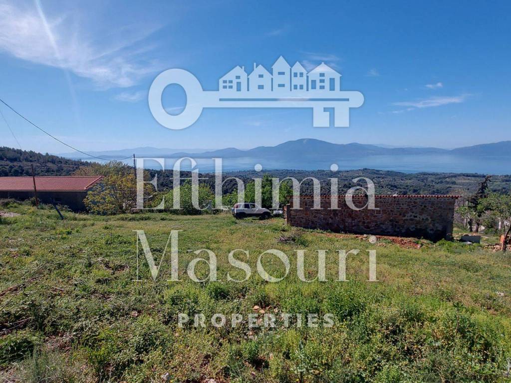 Εξωτερικοι χώροι