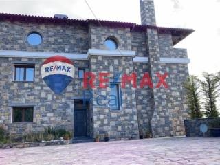 Ύπαρξη ανθρώπου