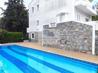 COMMON SWIMMING POOL