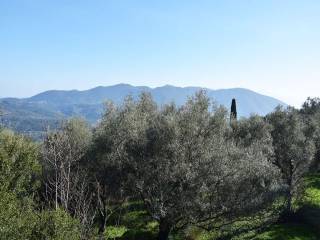 O peripoiemenos elaionas