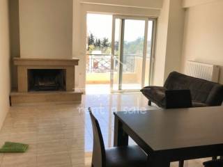 Σαλοκουζίνα