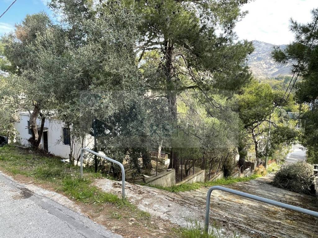 Εξωτερικοι χώροι