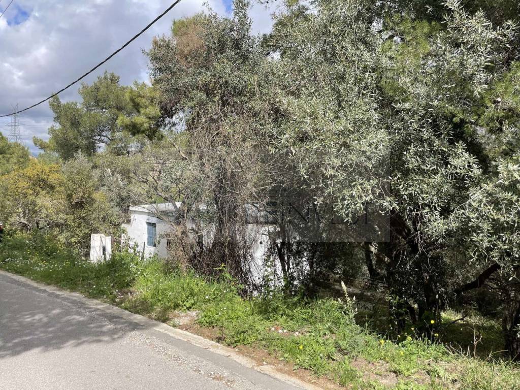 Εξωτερικοι χώροι