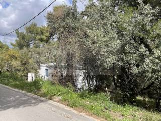 Εξωτερικοι χώροι