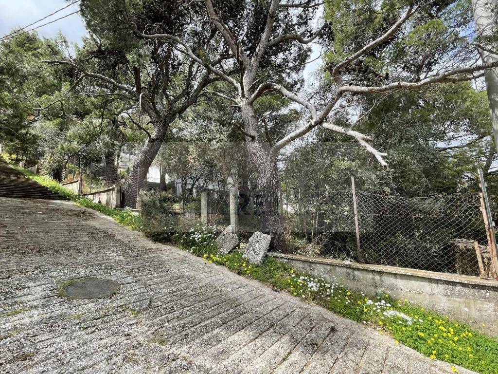 Εξωτερικοι χώροι