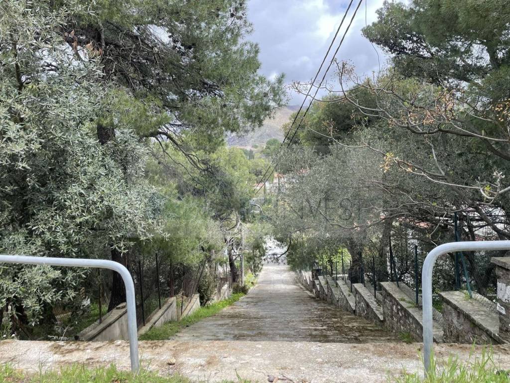 Εξωτερικοι χώροι