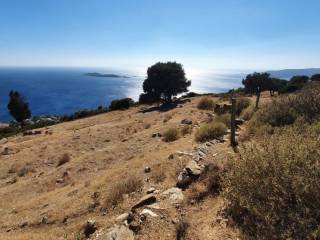 Θέα θάλασσα #2