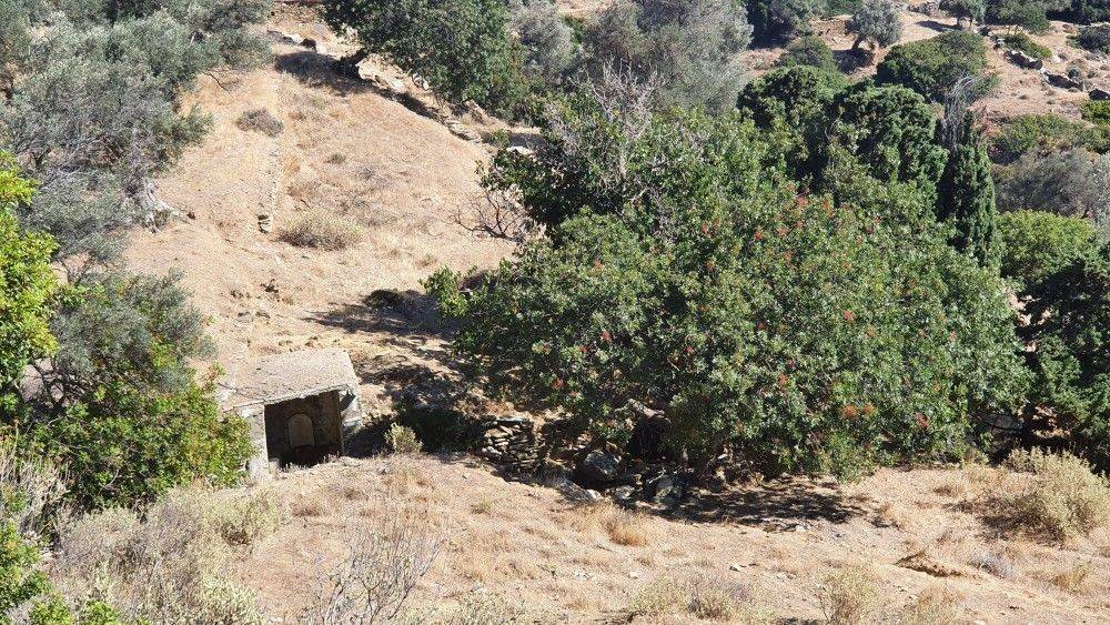 Άποψη αγροτεμαχίου #1