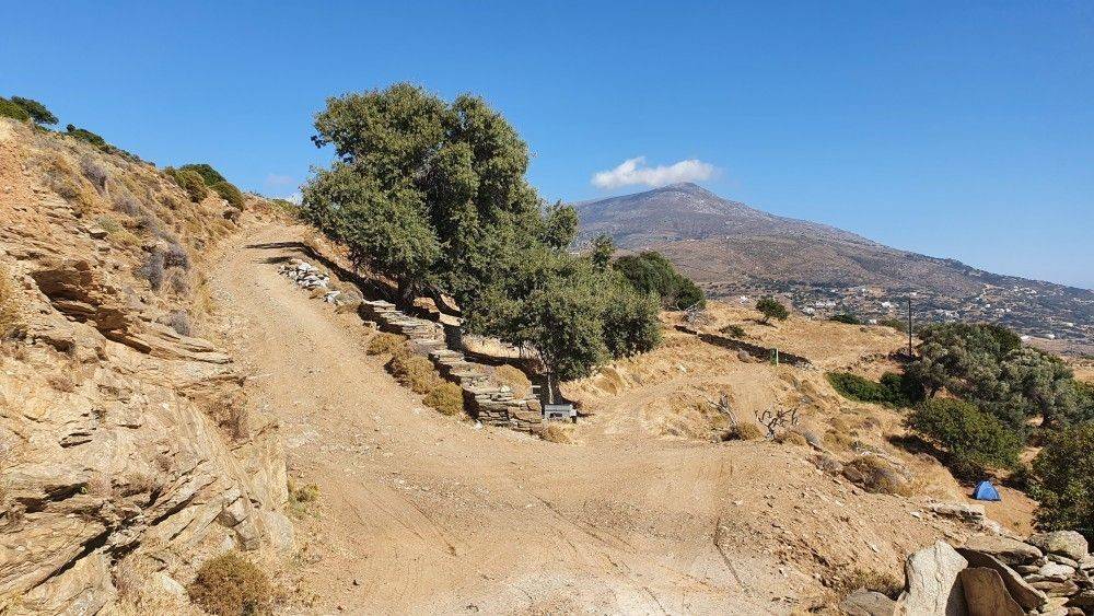 Άποψη αγροτεμαχίου #1