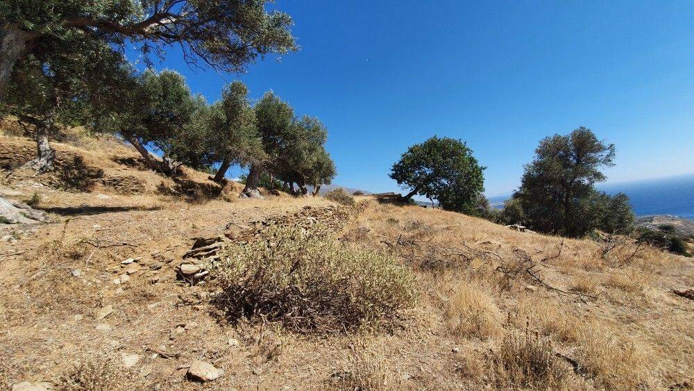 Θέα θάλασσα #12