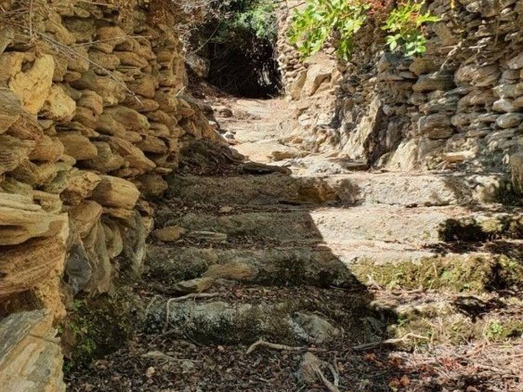 Μονοπάτι προς Αγ. Κήρηκο