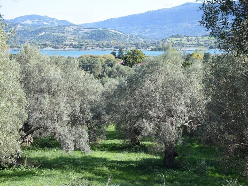 E thea pros te thalassa apo to agrotemachio